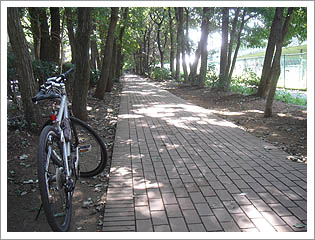 hikage04.jpg